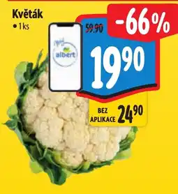 Albert Květák nabídka