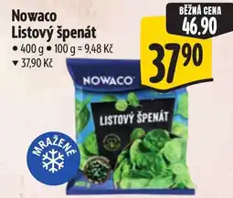 Albert Nowaco listový špenát nabídka