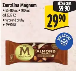 Albert Magnum zmrzlina nabídka