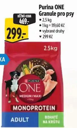 Albert Purina One granule pro psy nabídka