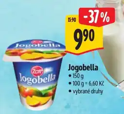 Albert Zott jogobella nabídka