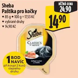 Albert Sheba paštika pro kočky nabídka