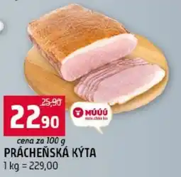 Terno Múúú prácheňská kýta nabídka