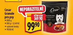 Albert Cesar Granule pro psy nabídka