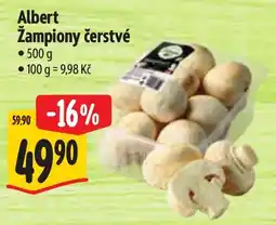 Albert Albert Žampiony čerstvé nabídka