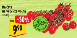 Albert Rajčata na větvičce volná nabídka