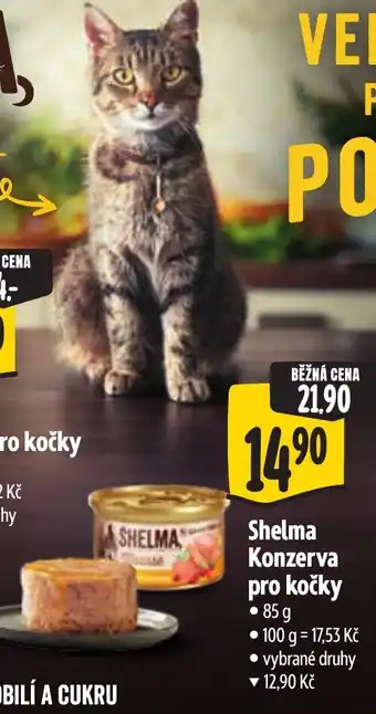 Albert Shelma konzerva pro kočky nabídka
