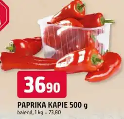 Trefa Paprika kapiě nabídka