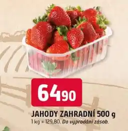 Trefa Jahody zahradní nabídka