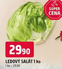 Trefa Ledový salát nabídka