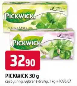 Trefa Pickwick čaj bylinný, vybrané druhy nabídka