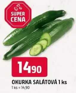 Trefa Okurka salátová nabídka