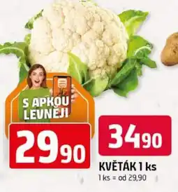 Trefa Květák nabídka
