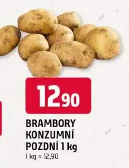 Trefa Brambory konzumní pozdní nabídka