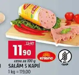 Terno SALAM S KAPIÍ nabídka