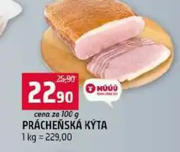 Terno MÚÚÚ PRÁCHEŇSKÁ KYTA nabídka