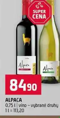 Terno ALPACA 0,75l vino vybrané druhy nabídka