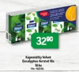 Brněnka Kapesníčky Velvet Eucalyptus 4vrstvé nabídka