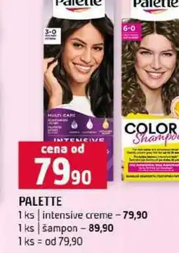 Terno PALETTE intensive creme šampon 1 ks nabídka