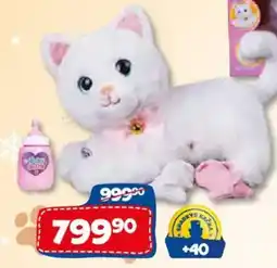 Sparkys Sparkys kachna nabídka
