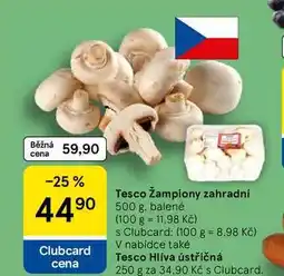 Tesco Tesco žampiony zahradní nabídka