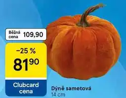 Tesco Dýně sametová 14 cm nabídka