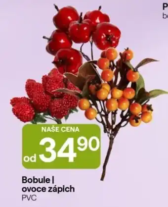 Bobule | ovoce zápich