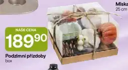 Hruška Podzimní přízdoby box nabídka