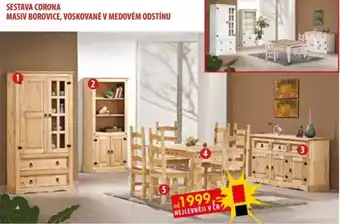 Corona masiv borovice