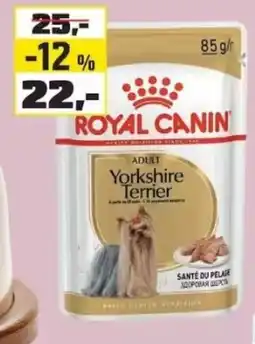 OBI Royal Canin adult yorkshire terrier nabídka