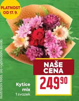 Billa Kytice mix nabídka