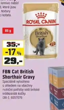 OBI Royal Canin Fbn Cat British Shorthair Gravy nabídka