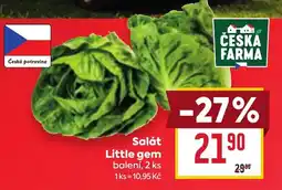 Billa Česká farma salát little gem nabídka