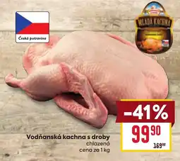 Billa Mladá kachna Vodňanská kachna s droby nabídka