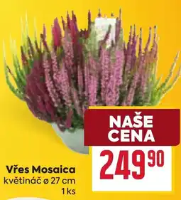Billa Vřes Mosaic nabídka