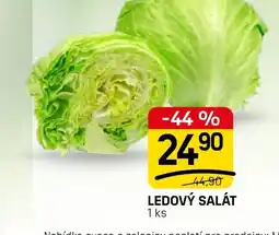 Flop Ledový salát nabídka
