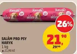 Penny Market SALÁM PRO PSY HARYK nabídka