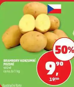 Penny Market BRAMBORY KONZUMNÍ POZDNÍ nabídka