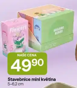 Hruška Stavebnice mini květina nabídka