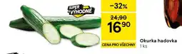 Tesco Okurka hadovka nabídka