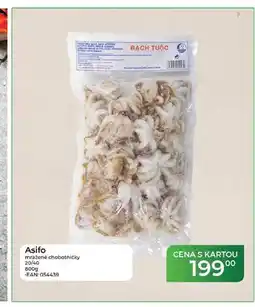 Tamda Foods Asifo mražené chobotničky 20/40 nabídka