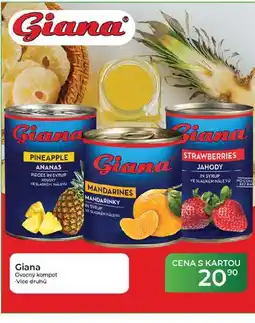 Tamda Foods Giana Ovocný kompot nabídka