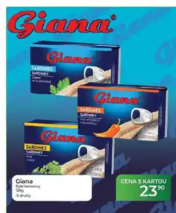 Tamda Foods Giana Rybí konzervy nabídka