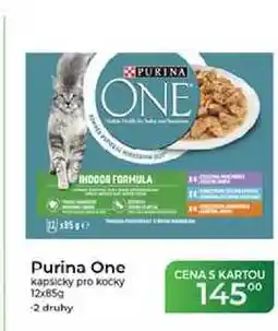 Tamda Foods Purina One kapsičky pro kočky nabídka