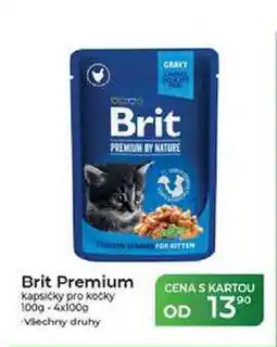 Tamda Foods Brit Premium kapsičky pro kočky 100g nabídka