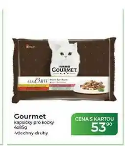 Tamda Foods Gourmet kapsičky pro kocky nabídka