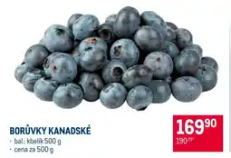 Makro Borůvky kanadské nabídka