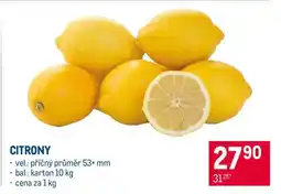 Makro Citrony nabídka