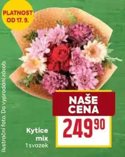 Billa Kytice mix nabídka