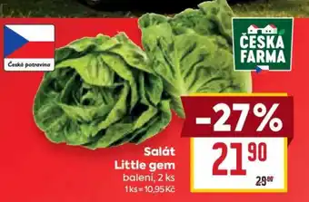 Billa Salát Little Gem nabídka